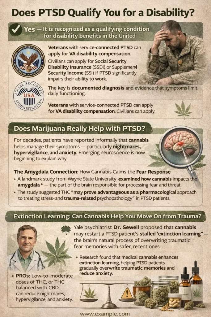 Infographic explaining PTSD disability eligibility in the US and how medical cannabis may help reduce PTSD symptoms like anxiety, nightmares, and hypervigilance