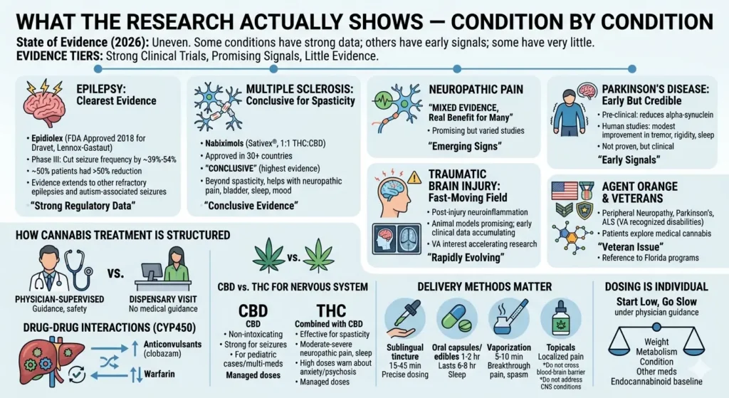 Infographic showing cannabis research evidence for neurological conditions in 2026, including epilepsy, multiple sclerosis, neuropathic pain, Parkinson’s disease, traumatic brain injury, and veteran-related conditions, with sections on CBD vs THC, drug interactions, delivery methods, and individualized dosing