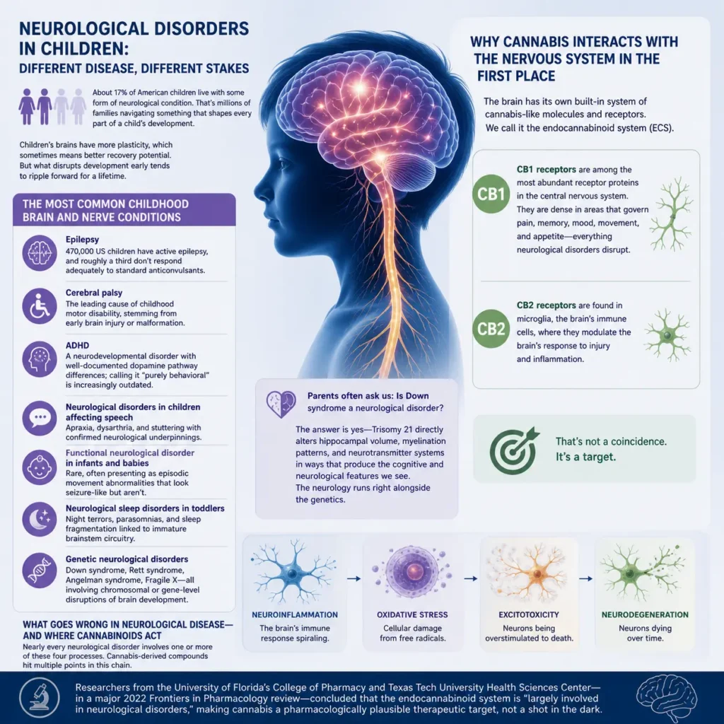 Neurological disorders in children concept showing developing brain and nervous system with neural pathways in a clean medical background