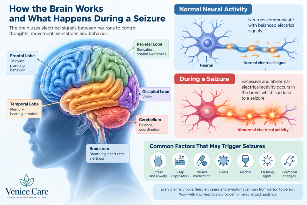 Medical illustration showing normal neural activity and abnormal electrical activity associated with seizures